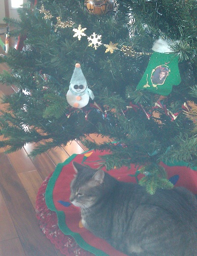 Christmas tree cat 2011